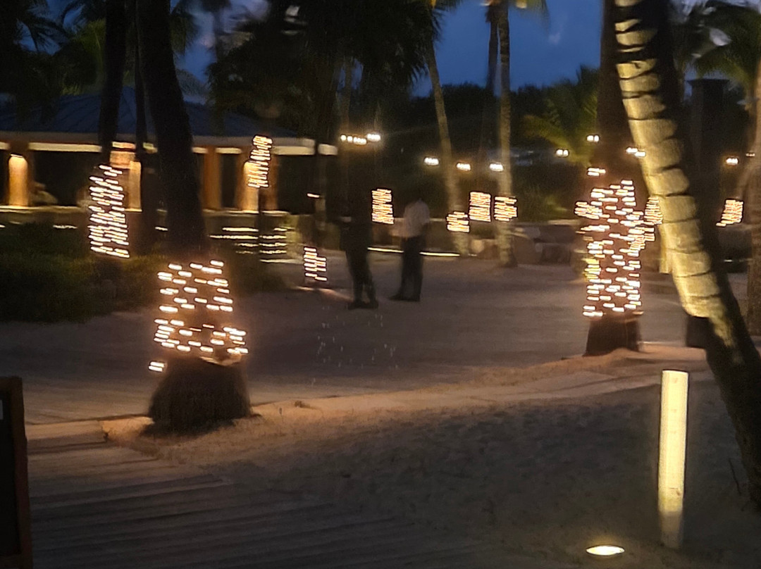 Alexandra Resort - All-inclusive主图