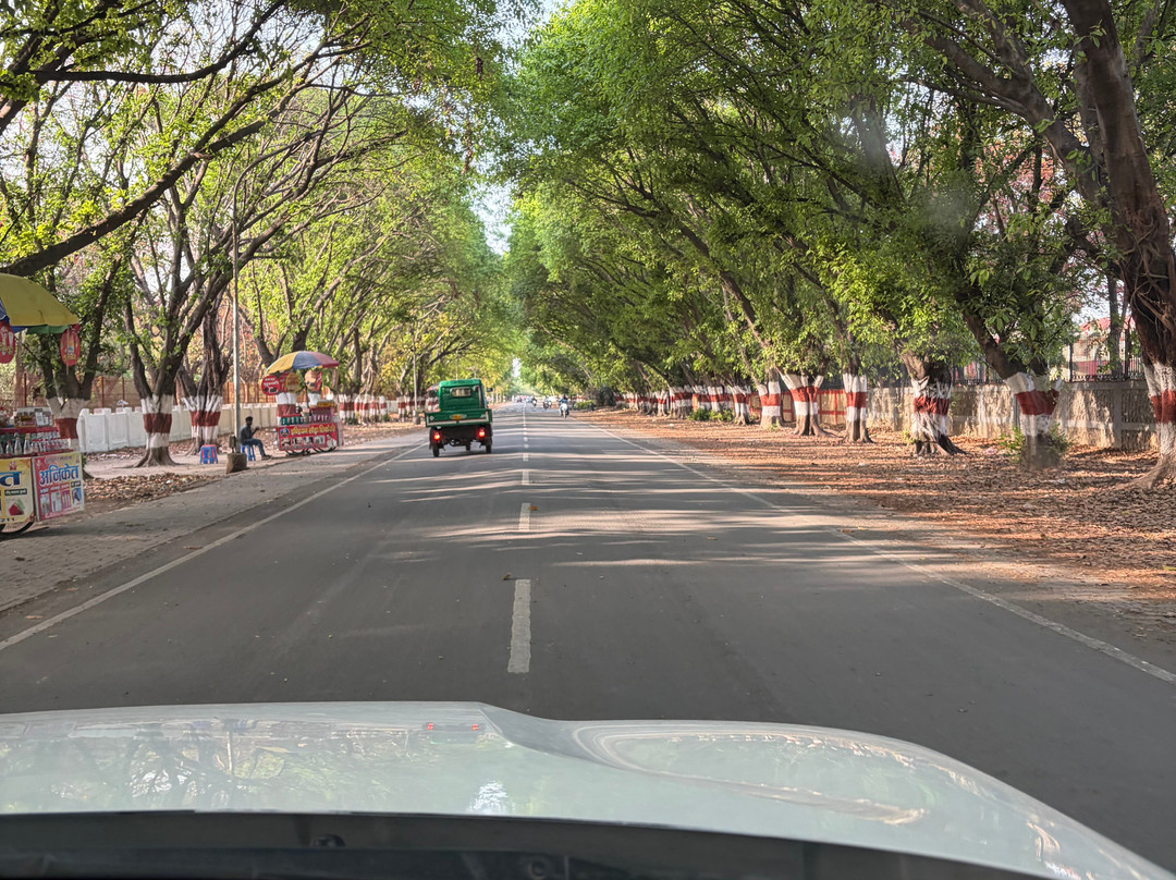 Taj Way Cabs-新德里必去景点