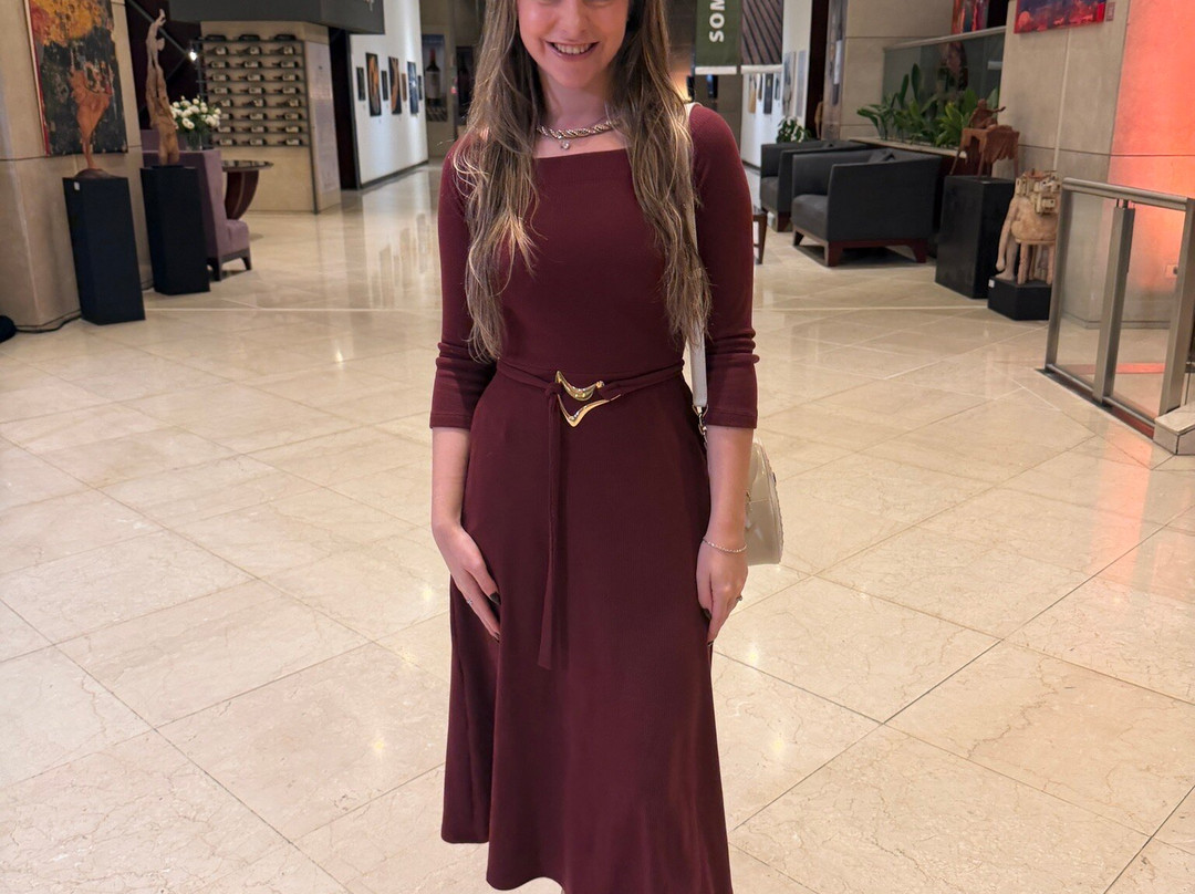 门多查喜来登酒店主图