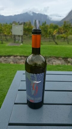 Holden Manz Wine Estate-法兰舒克必去景点
