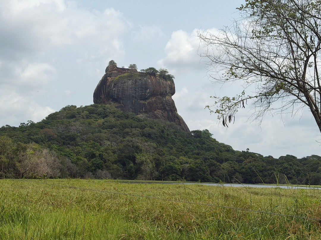 Drivers in Sri Lanka-科伦坡必去景点