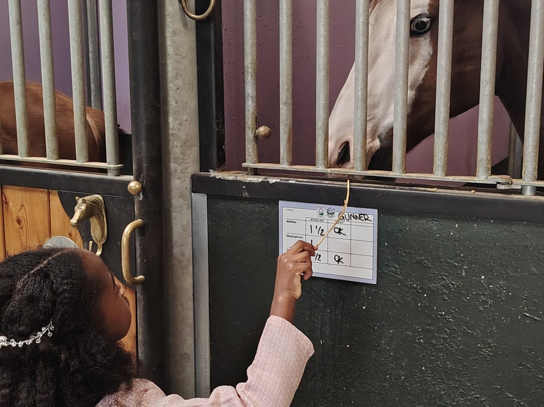 Monsereno Horses-Imbersago必去景点