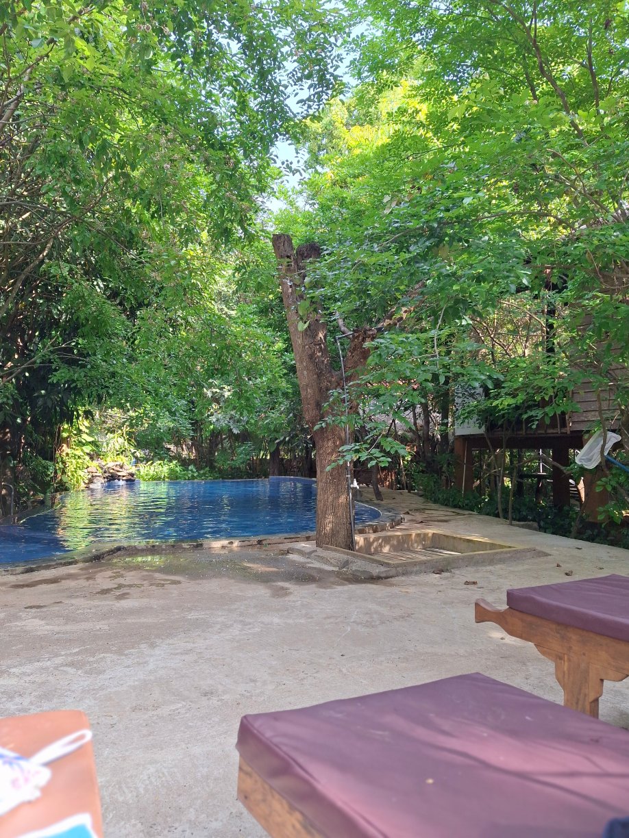 Habarana Tree House Mutu Village-旅行者