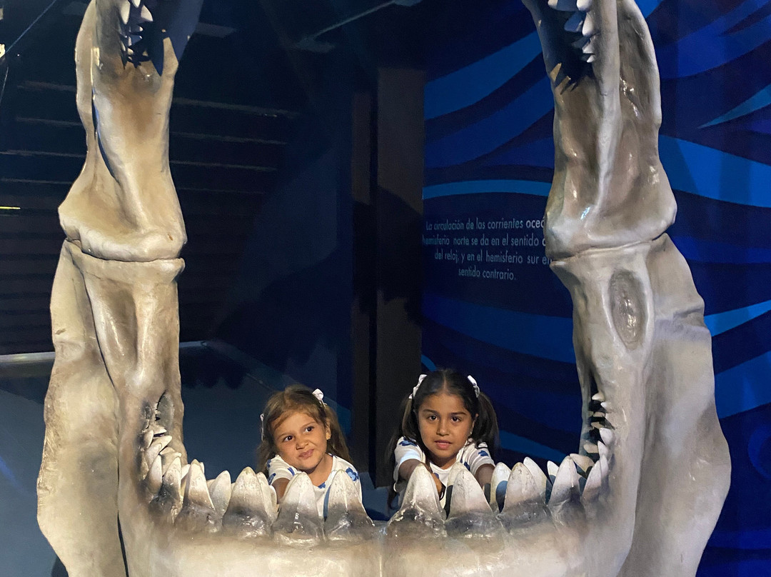 Acuario Michin Guadalajara-瓜达拉哈拉必去景点