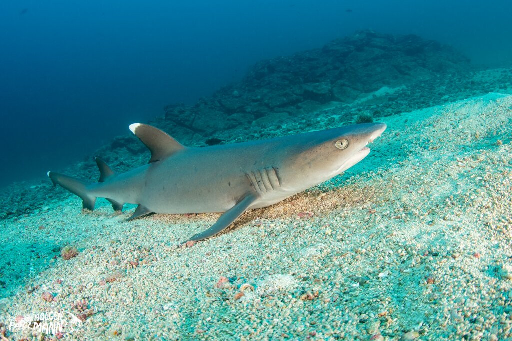 Scuba Coiba-Santa Catalina必去景点