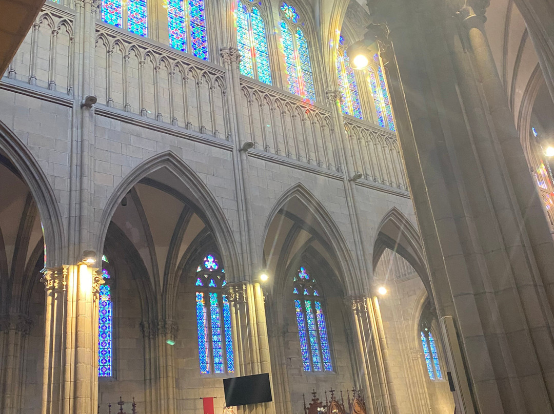 Buen Pastor Cathedral-圣塞瓦斯蒂安必去景点