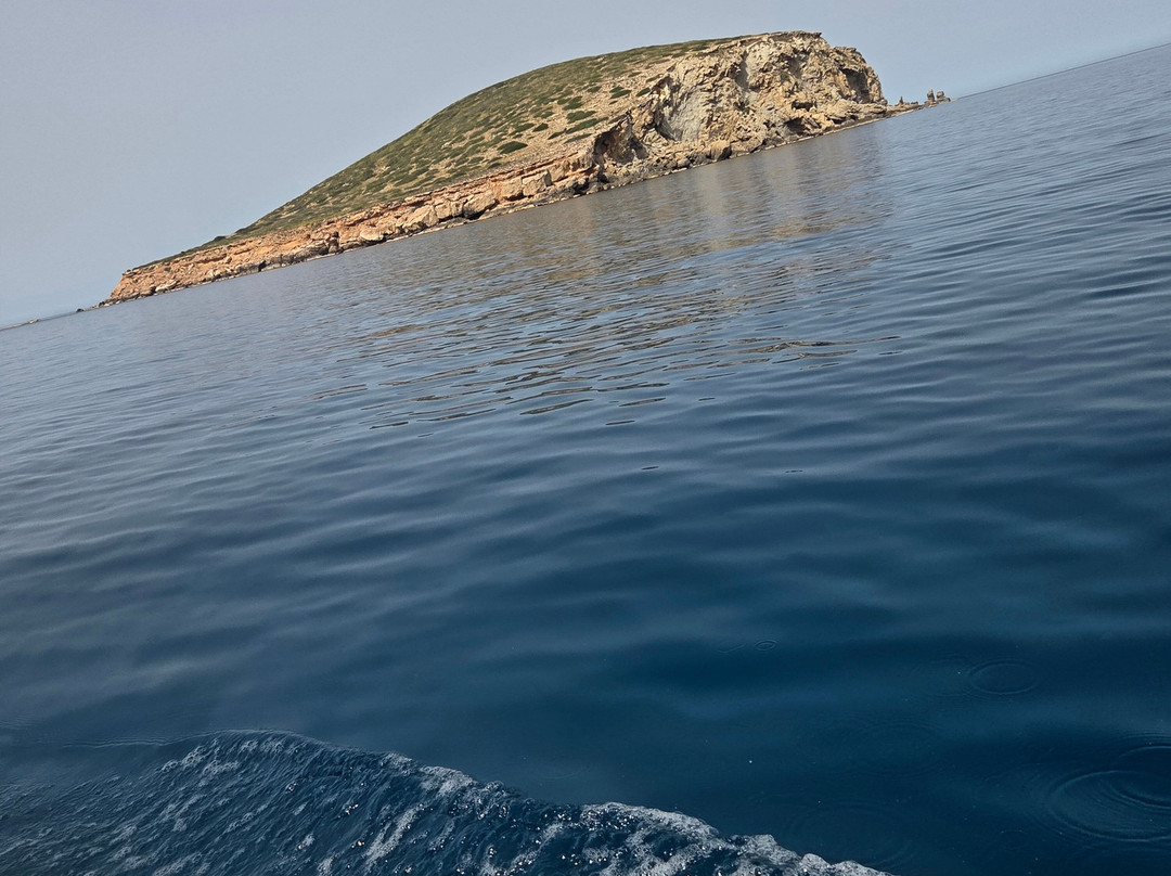 Daydream Boats Ibiza-圣安东尼德波特曼尼必去景点