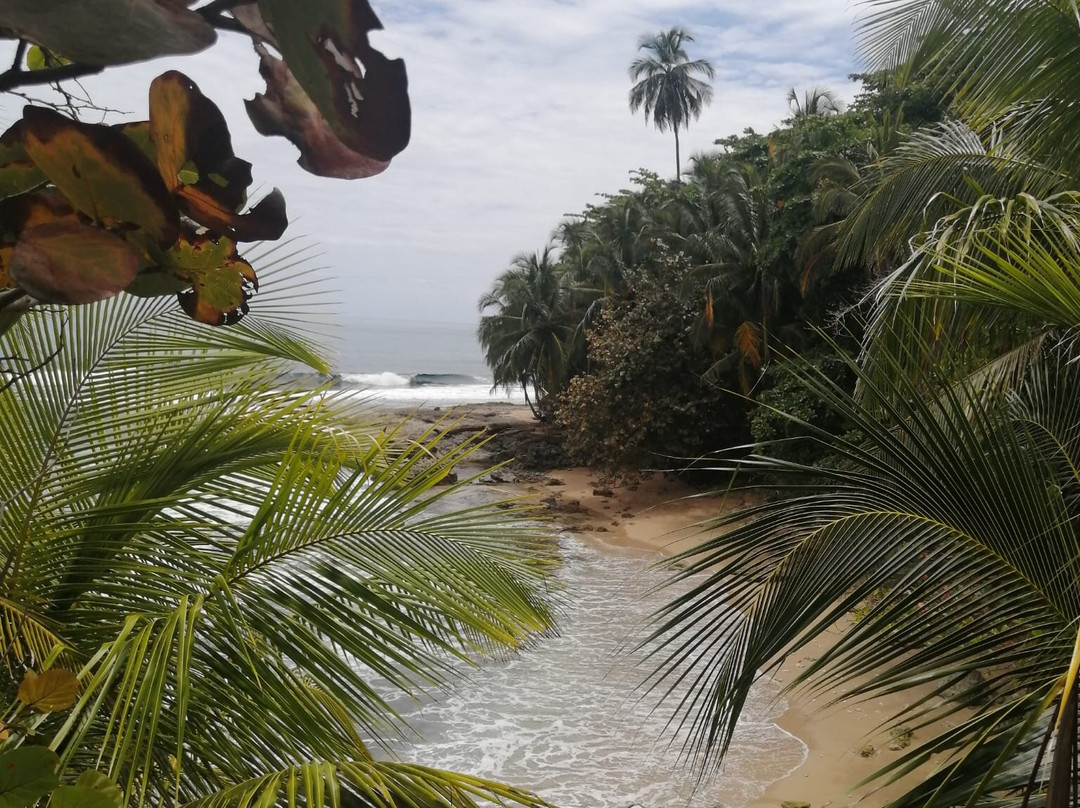 Gandoca - Manzanillo Wildlife Refuge-Province of Limon必去景点