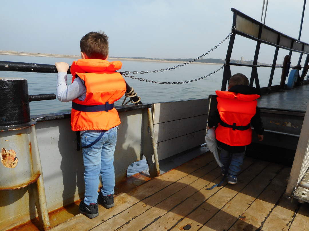 Viking TS3 Sleepnetvissen-West-Terschelling必去景点