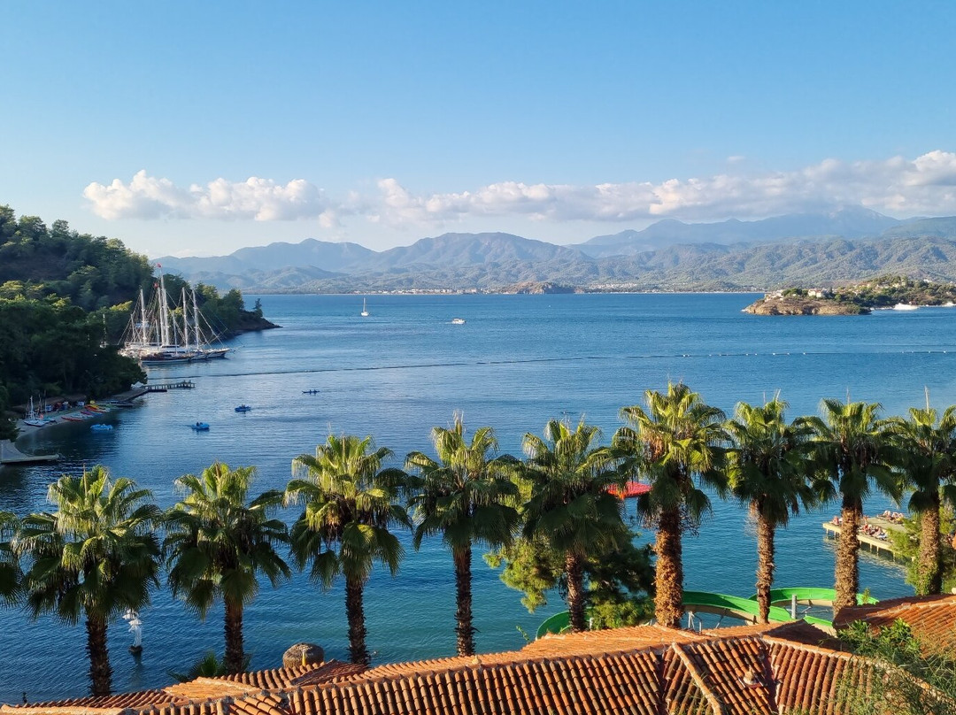 俱乐部及利图尼亚酒店-全包主图