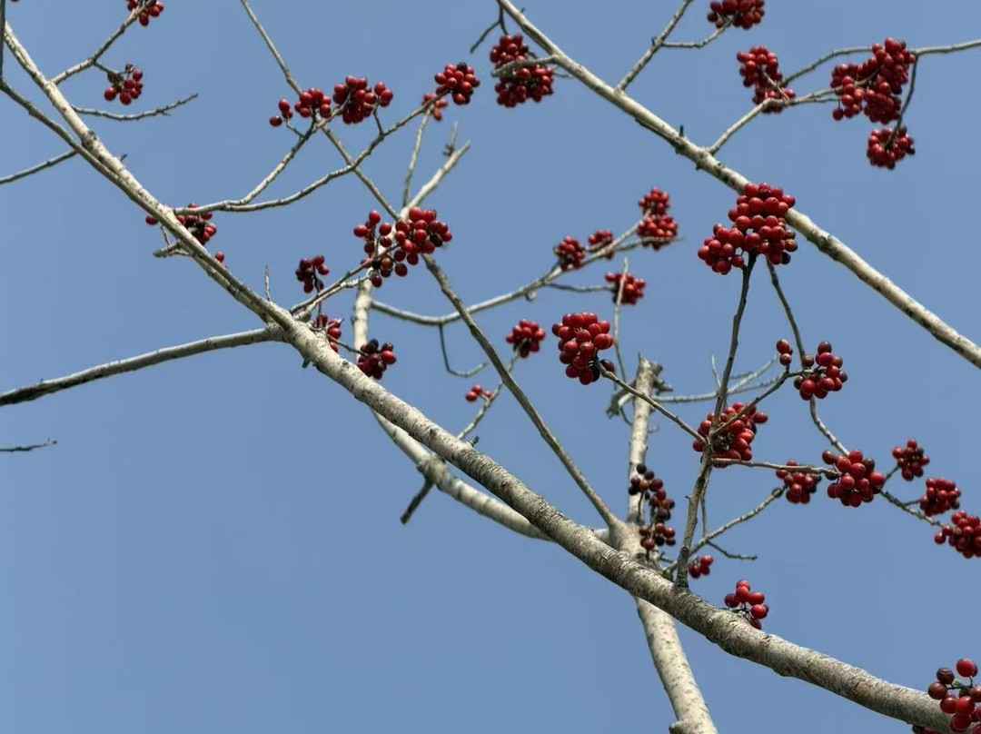 南京园博园悦榕庄主图