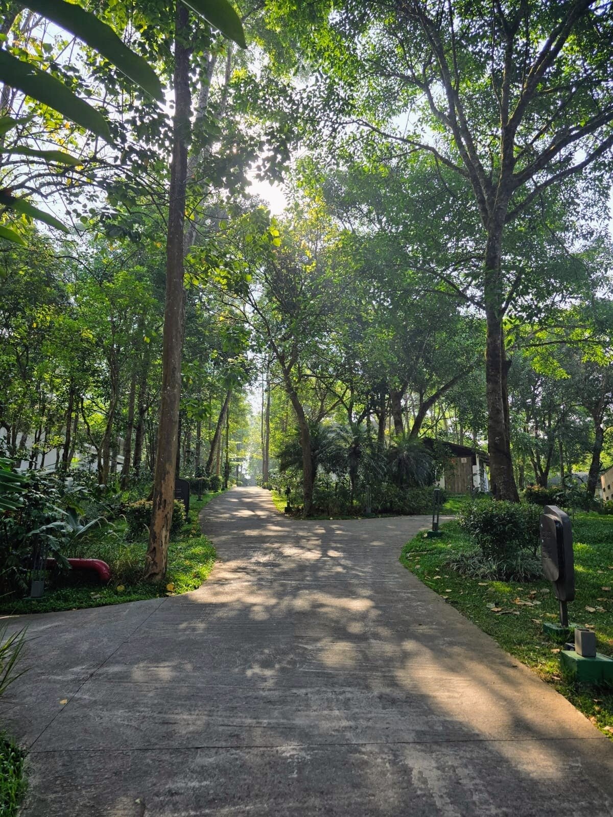 Coorg万豪度假村和水疗中心-旅行者
