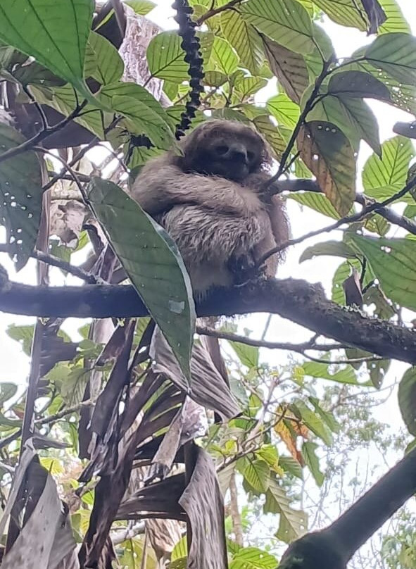 Matt's Fishing & Tours-萨迪纳尔必去景点