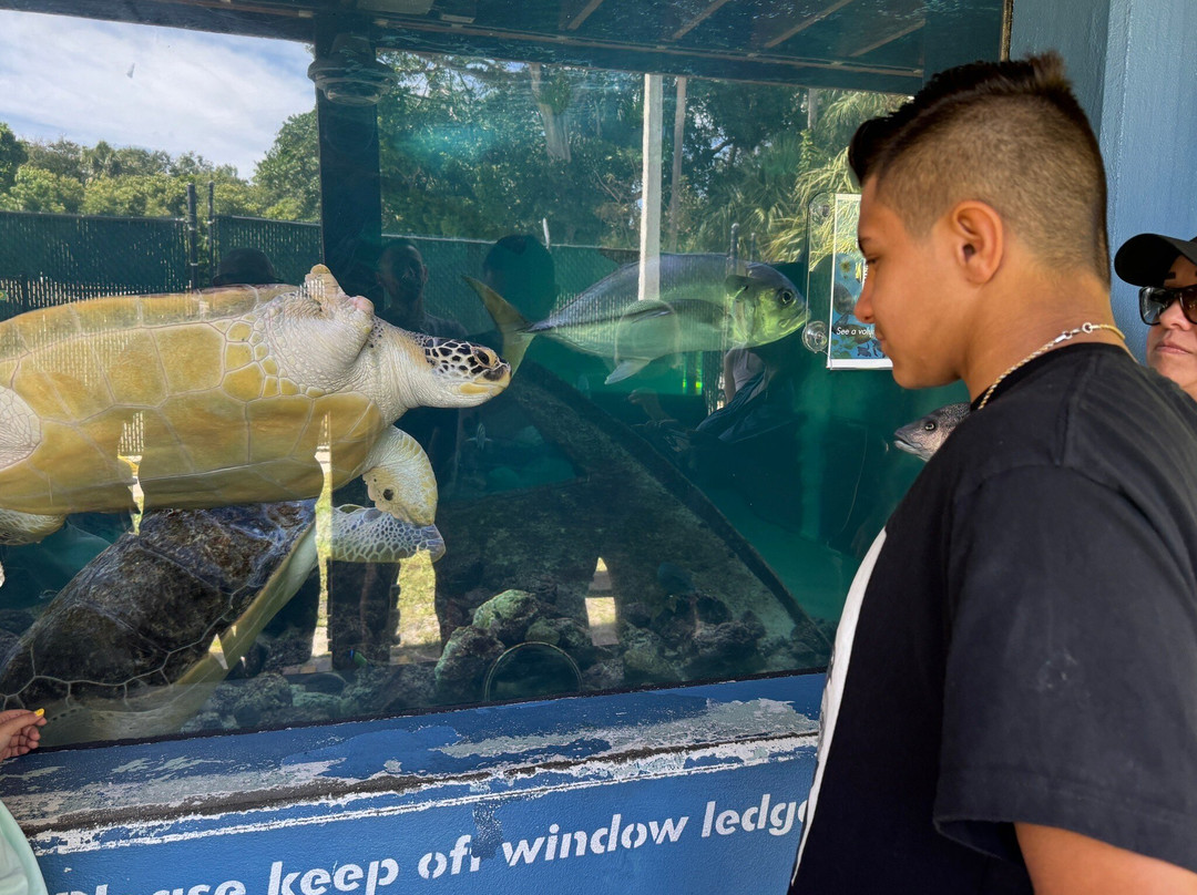 Gumbo Limbo Nature Center-博卡拉顿必去景点