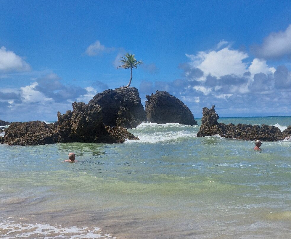 Praia de Tambaba-Conde必去景点