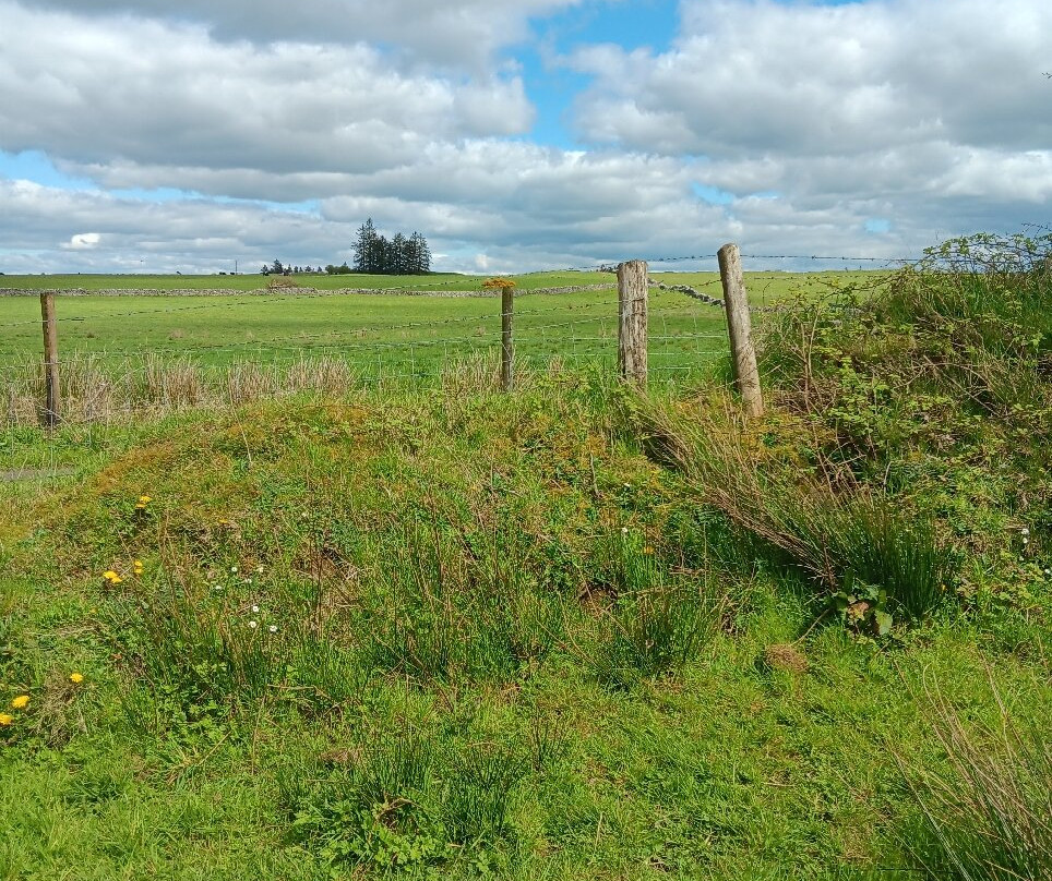 Rathcroghan Royal Site & Visitor Centre-Tulsk必去景点