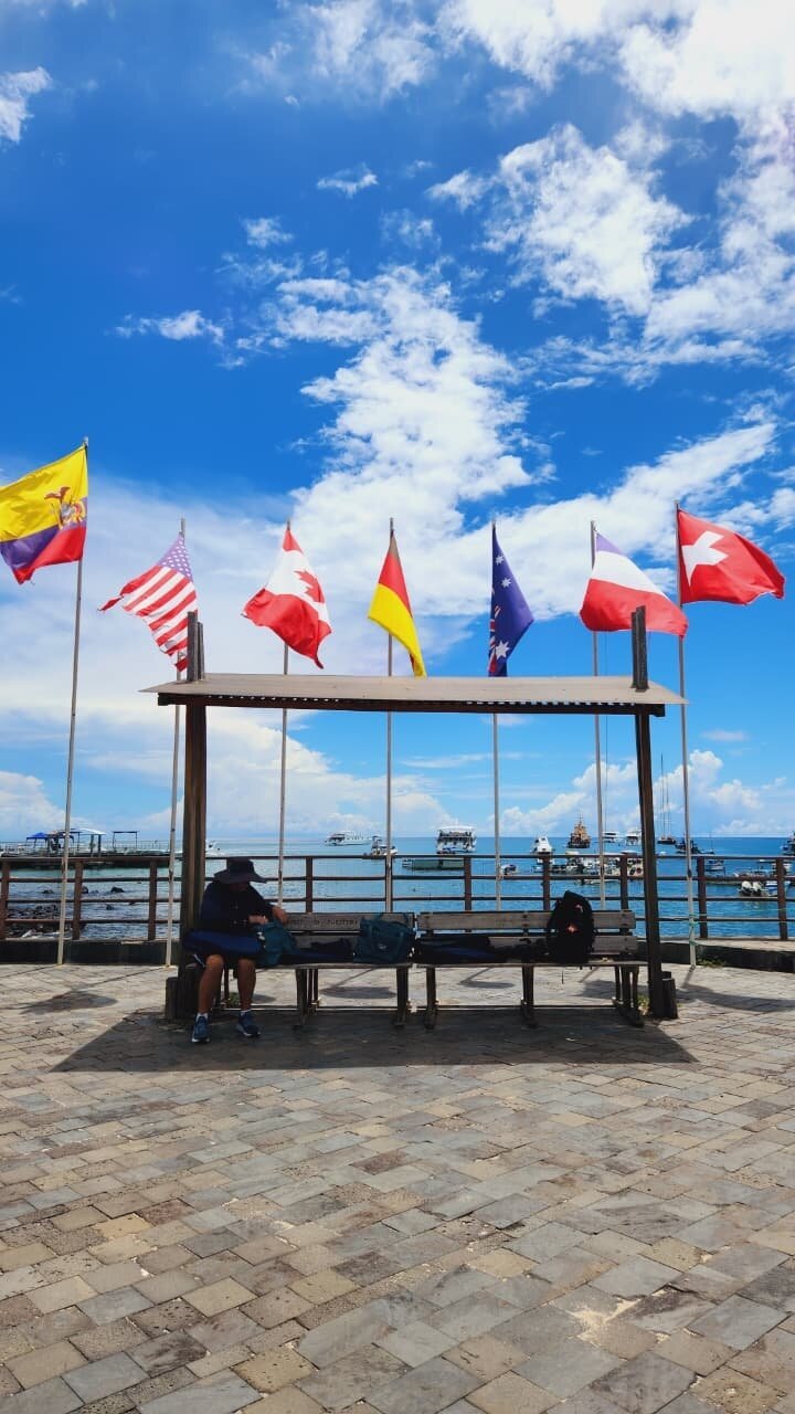 金湾加拉帕戈斯-旅行者