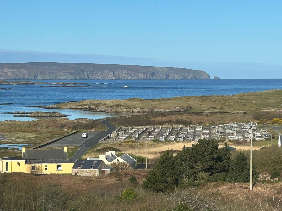 The Viking House Hotel主图