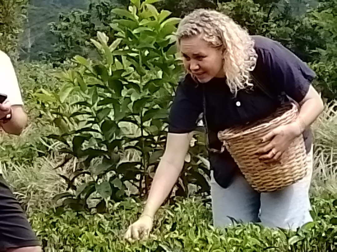 Roshen Ceylon Tours & Travels-Maggona必去景点