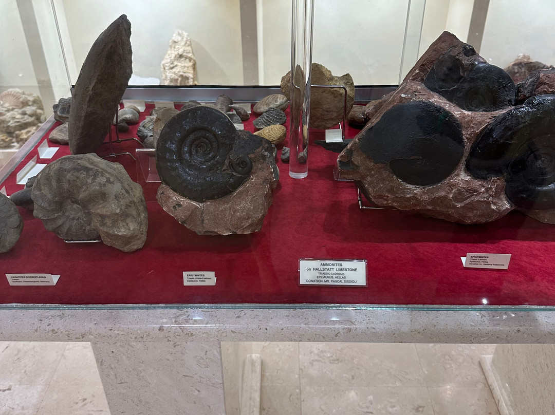 Museum of Mineralogy and Paleontology Stamatiadis-Ialysos必去景点