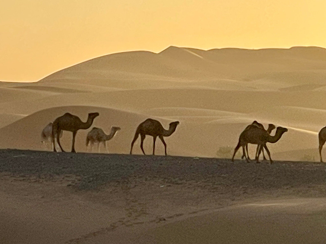 Desert Excursion Morocco-丹吉尔必去景点