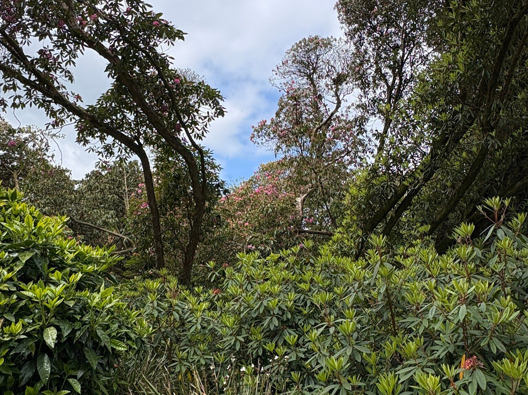 海利根花园-Pentewan必去景点