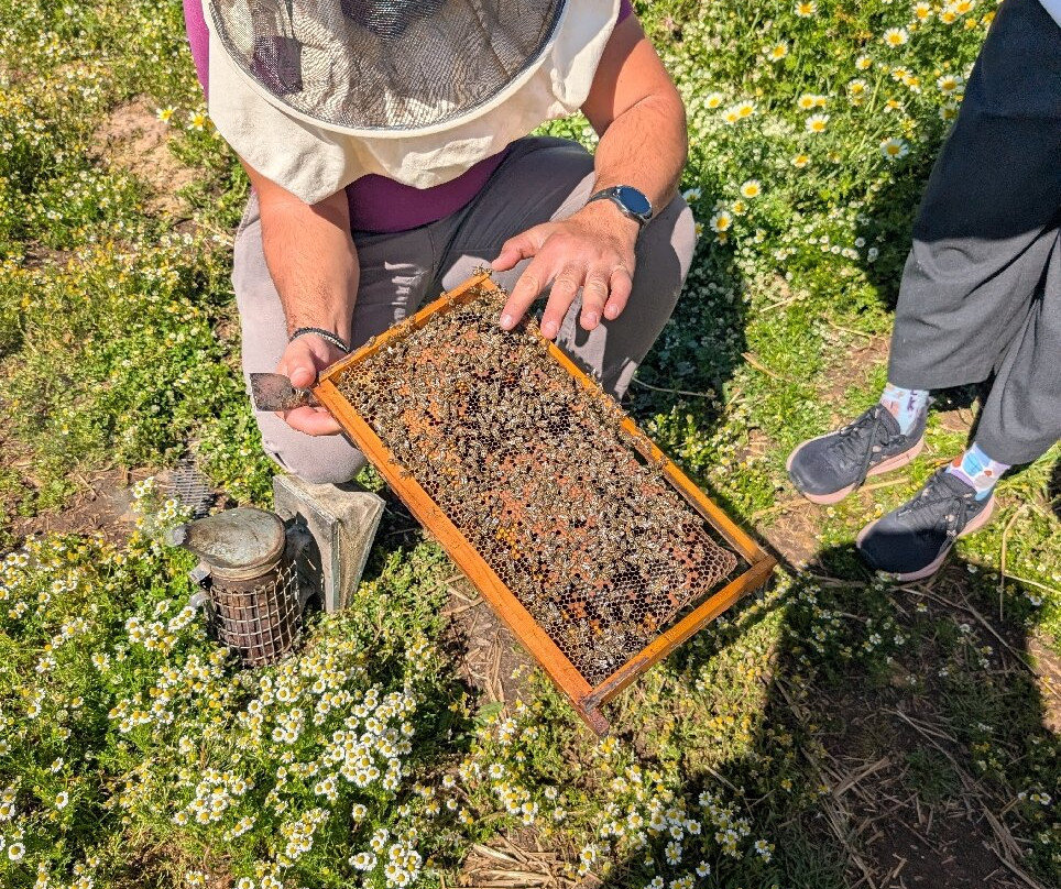 Dousakis Honey Beekeeping Tours-Rodopos必去景点