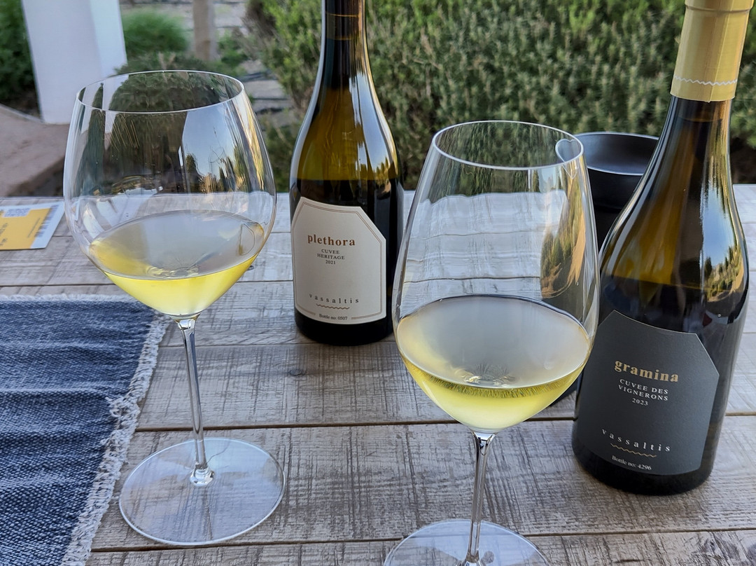 Vassaltis Vineyards-Vourvoulos必去景点