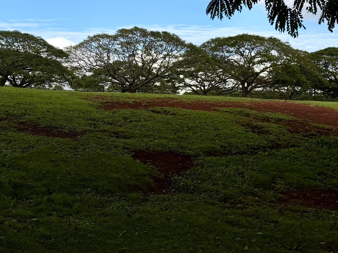 Central Oahu Regional Park-火奴鲁鲁必去景点