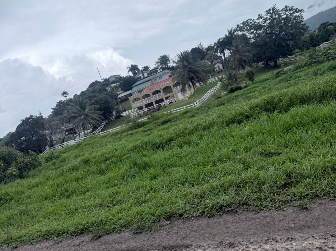 Rainforest & Ocean View Inn at Hacienda Carabali主图