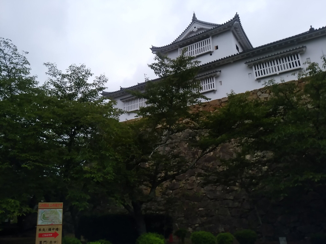 Tsuyama Castle (Kakuzan Park)-津山市必去景点
