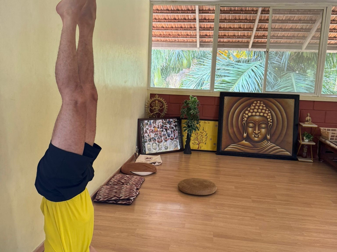 Samyak Yoga-迈索尔必去景点