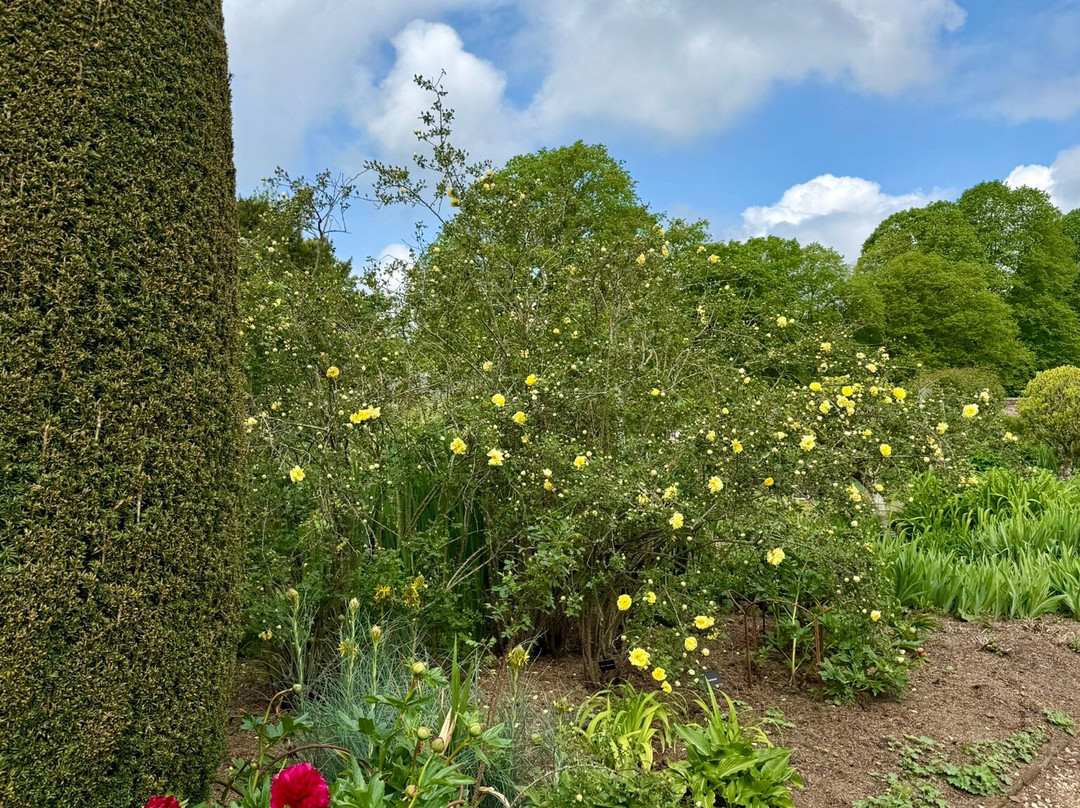 Mottisfont Abbey-Mottisfont必去景点