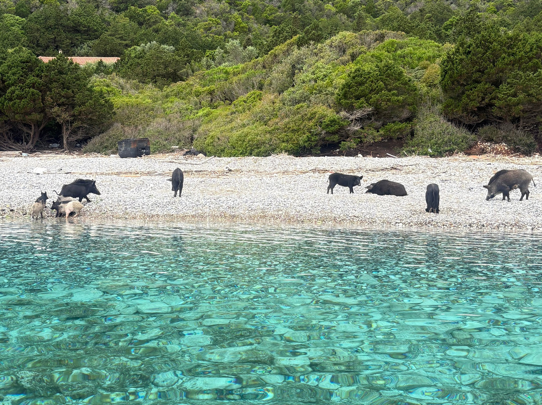 Lefkas Boat-Nidri必去景点