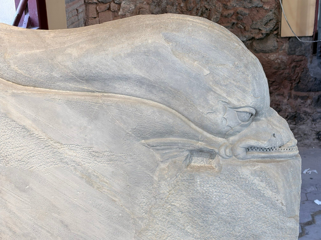 Parco Archeologico Greco Romano di Catania-卡塔尼亚必去景点