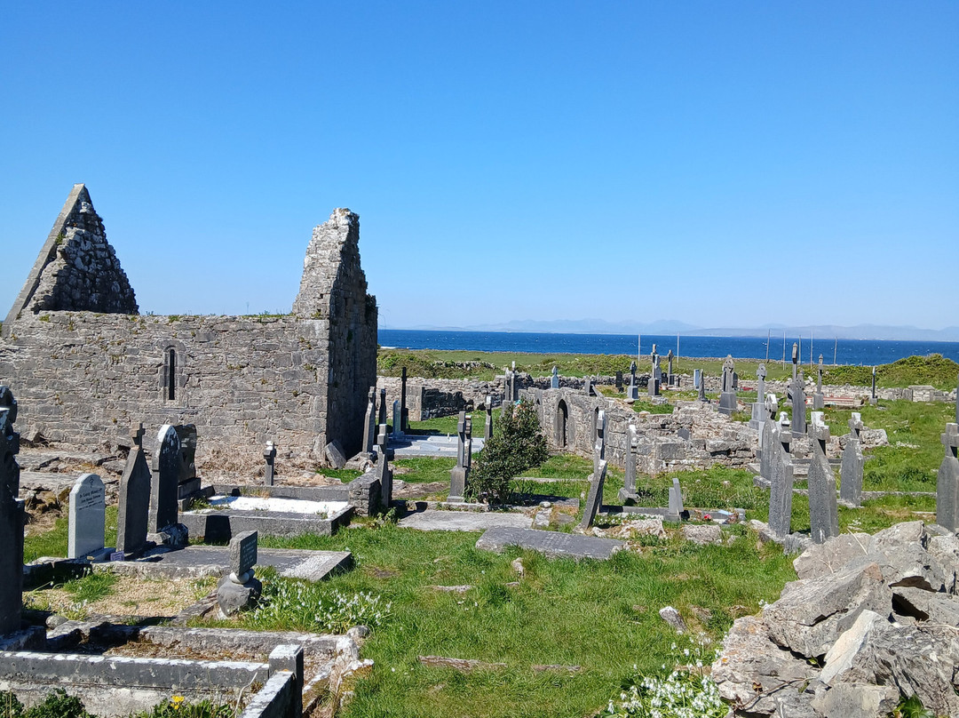 Failte Bus Tour-Inishmore必去景点