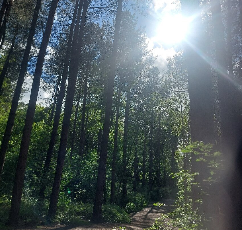 Delamere Forest-Delamere必去景点