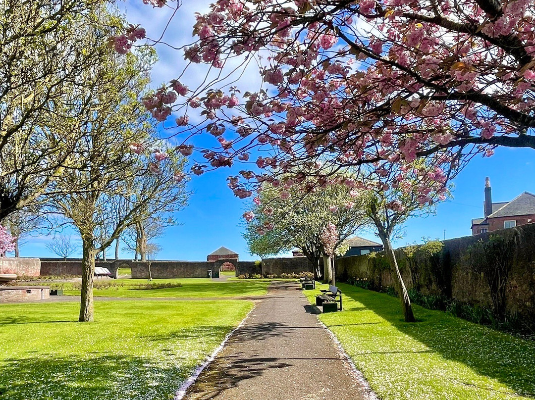 Springfield Rose Garden-Carmyllie必去景点