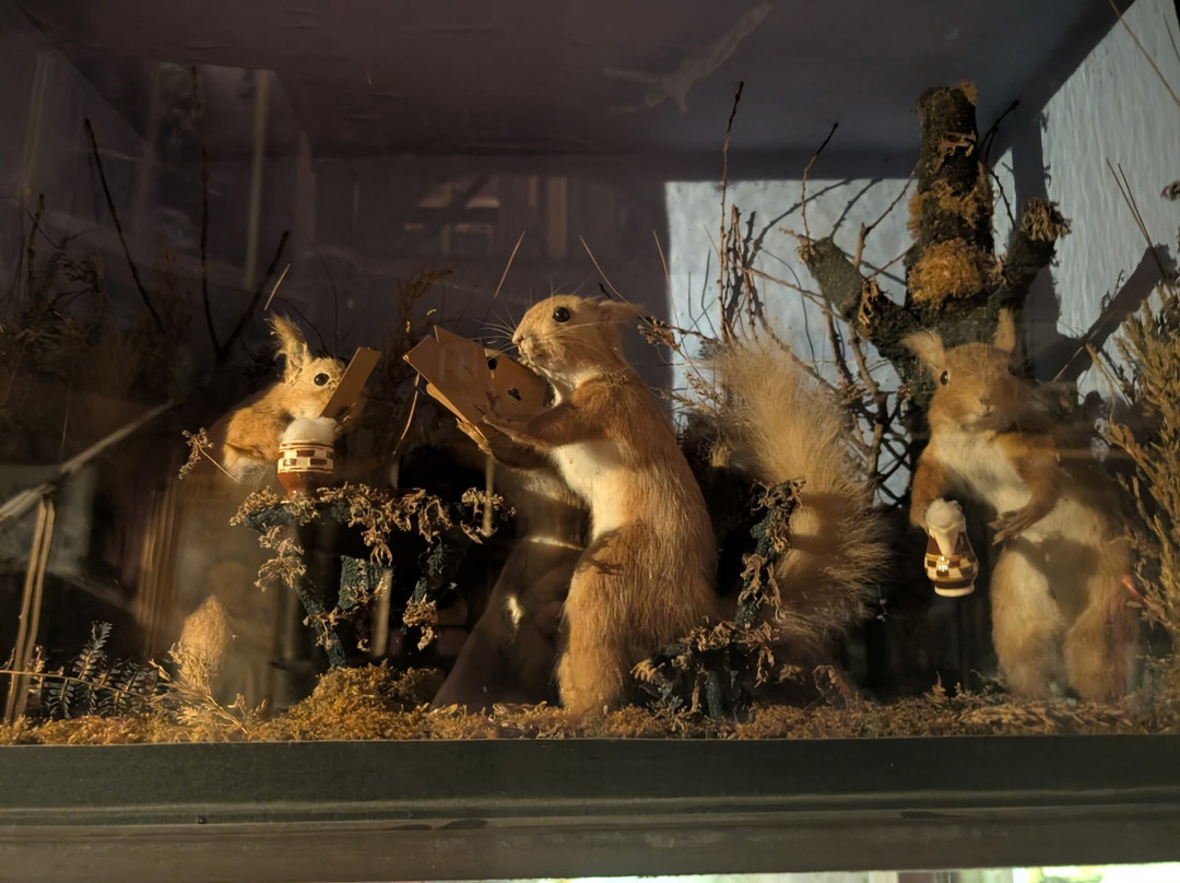 The Viktor Wynd Museum of Curiosities, Fine Art & UnNatural History-伦敦必去景点