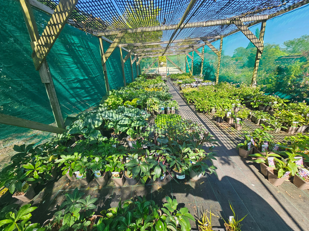 Langthorns Plantery-Little Canfield必去景点
