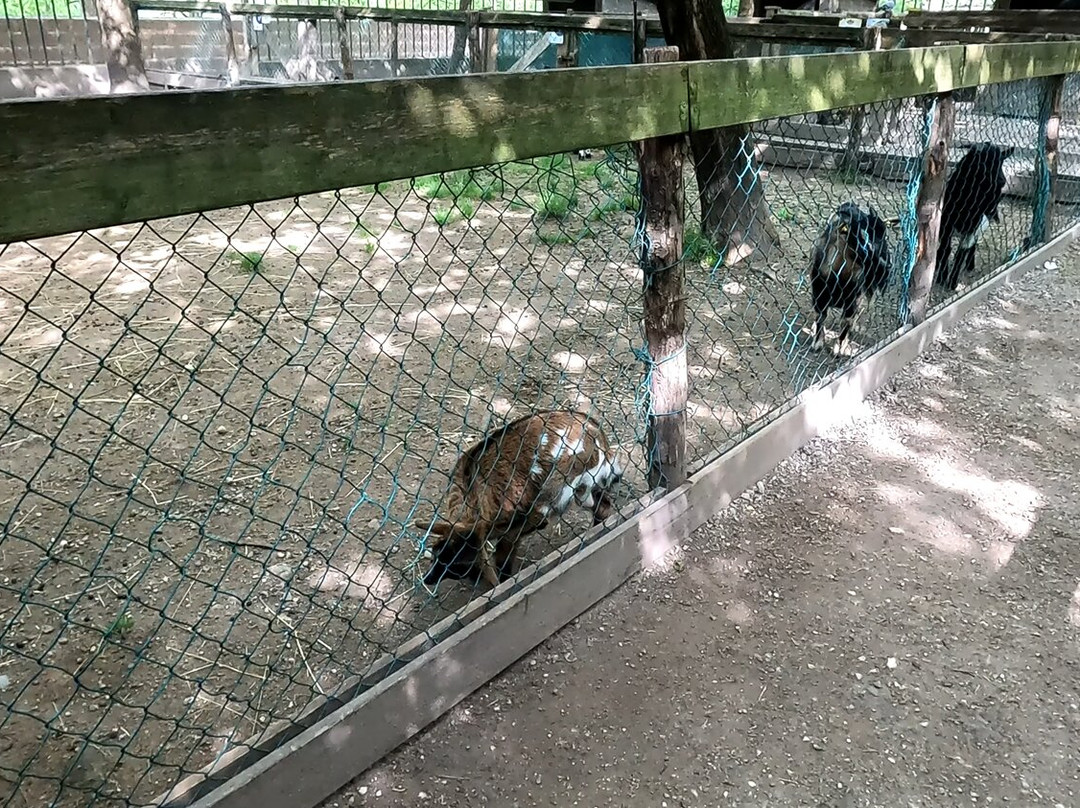 Parco Giardino Sigurtà-明乔河畔瓦莱焦必去景点