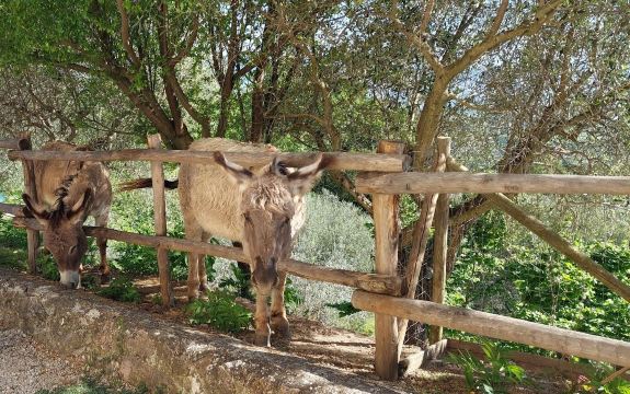 Agriturismo Etico le Grazie-度假村/酒店