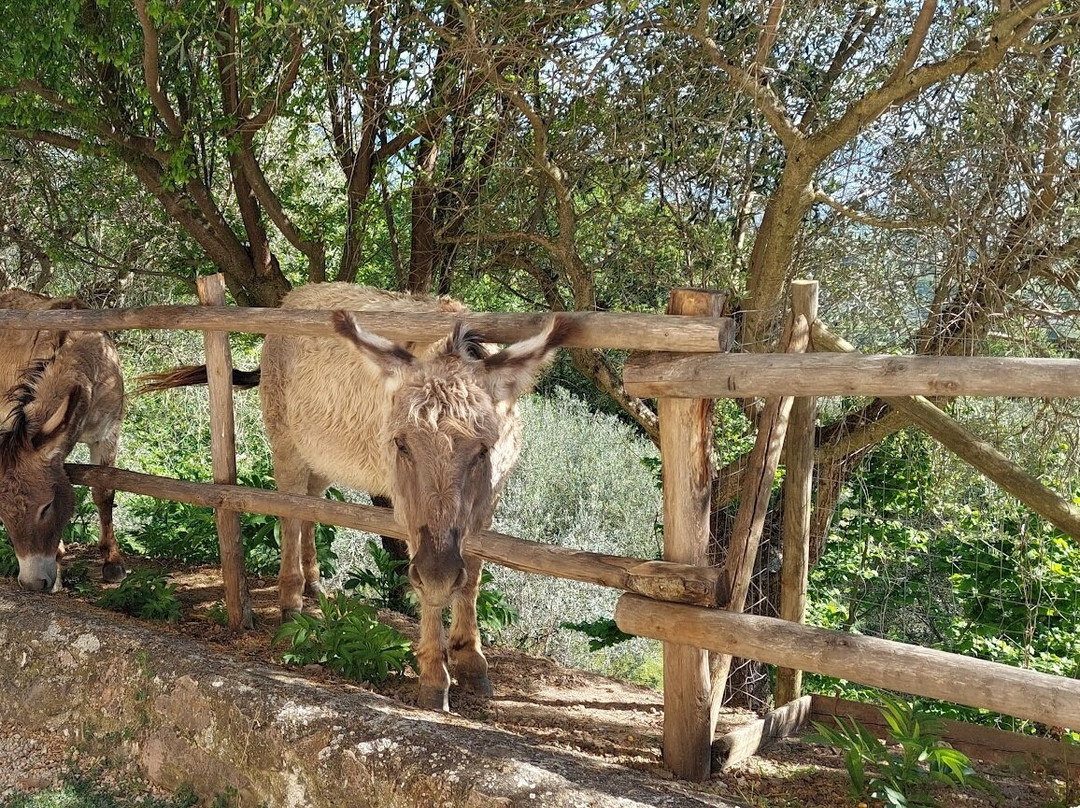 Agriturismo Etico le Grazie主图