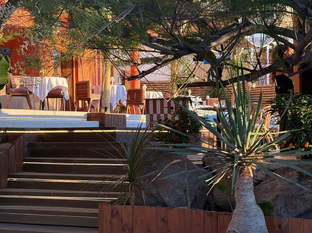 Bambino Ibiza