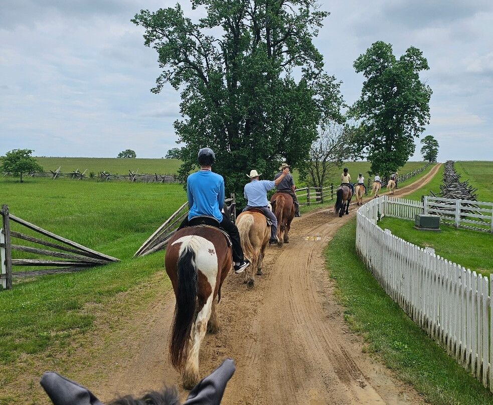Hickory Hollow Horse Farm-葛底斯堡必去景点
