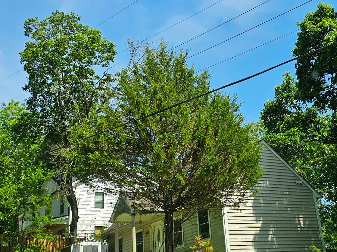 Sparks African American Historic Survey District-Sparks必去景点