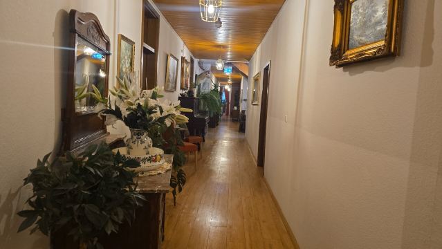威尔尼特兹西尔施酒店-旅行者