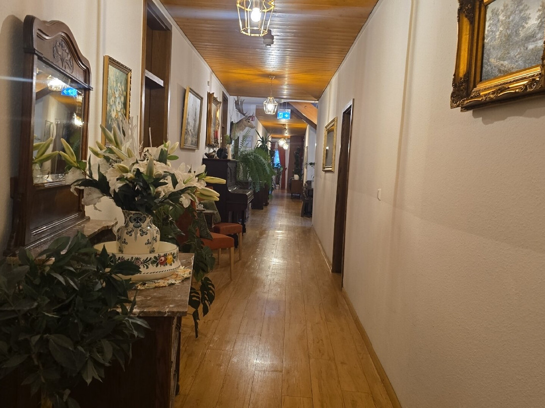 威尔尼特兹西尔施酒店主图