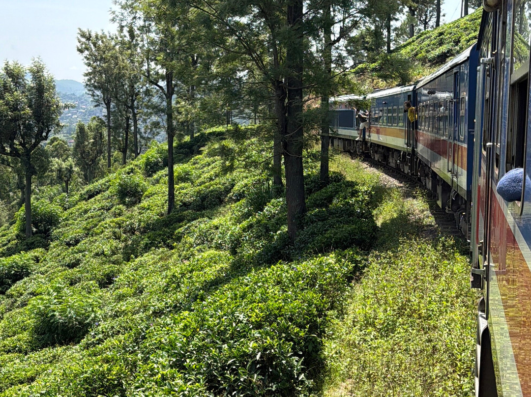Piyara Tours-Kotugoda必去景点