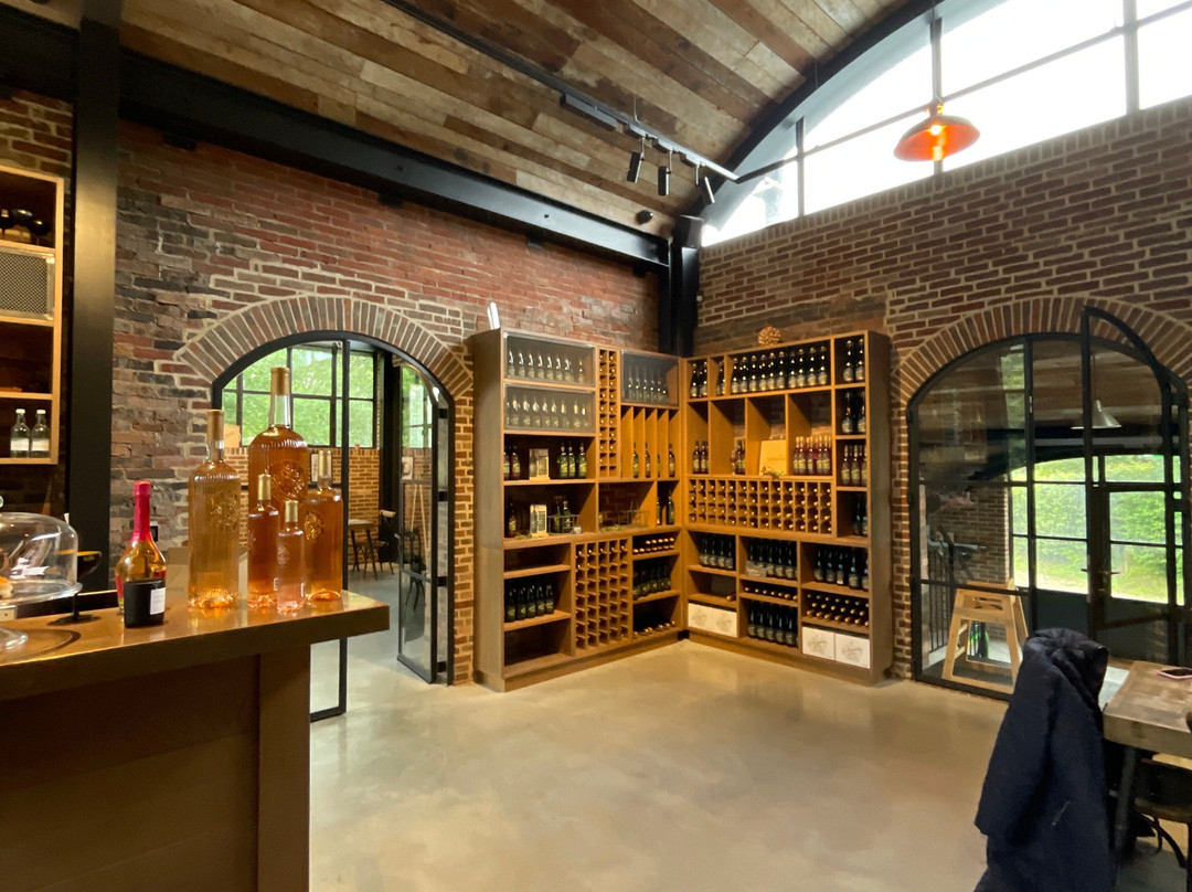 Sedlescombe Organic Vineyard-Sedlescombe必去景点